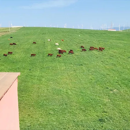 Apartamento Bonito ático Con Vistas Y Barbacoa Zahara de los Atunes